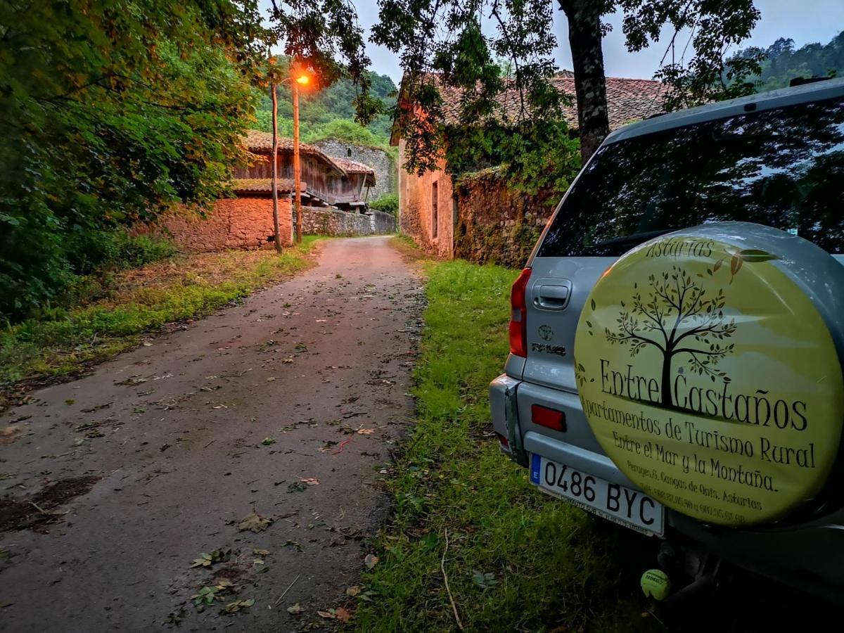 Casas Rurales Entrecastanos Guest House Cangas de Onis Exterior photo