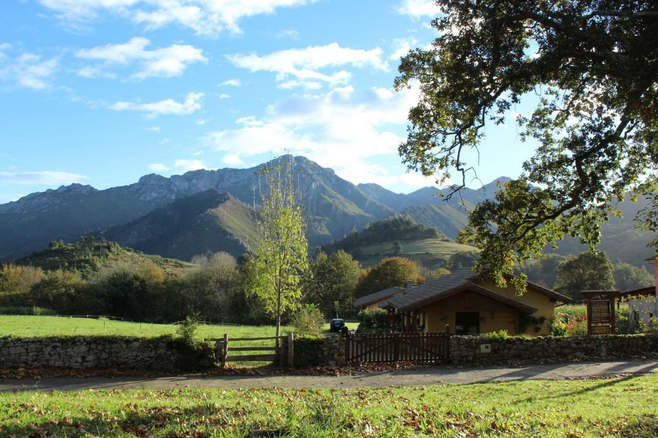 Casas Rurales Entrecastanos Guest House Cangas de Onis Exterior photo