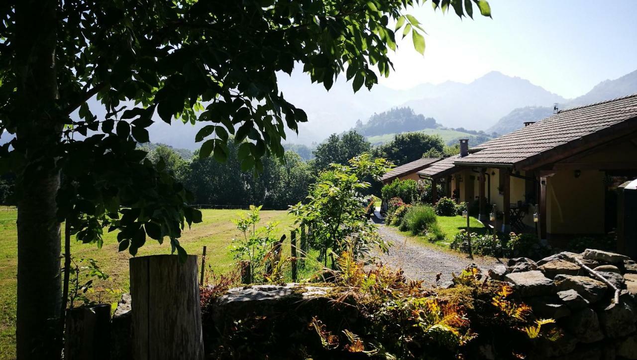 Casas Rurales Entrecastanos Guest House Cangas de Onis Exterior photo